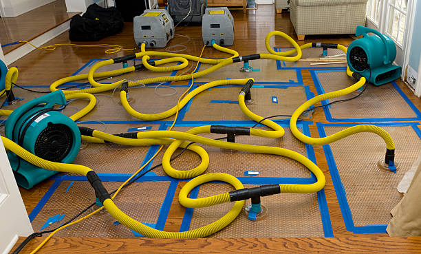 Professional Basement Flood Cleanup technician working in Kittery, ME